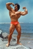 Mike Mentzer 03