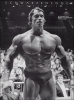 Arnie 18