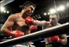 Boxerské zápasy boxerů v TOP 10 na světě březen